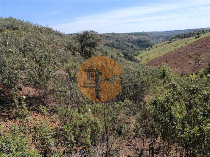 Image No.20-Plot for sale