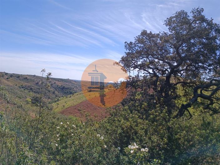 Image No.27-Plot for sale