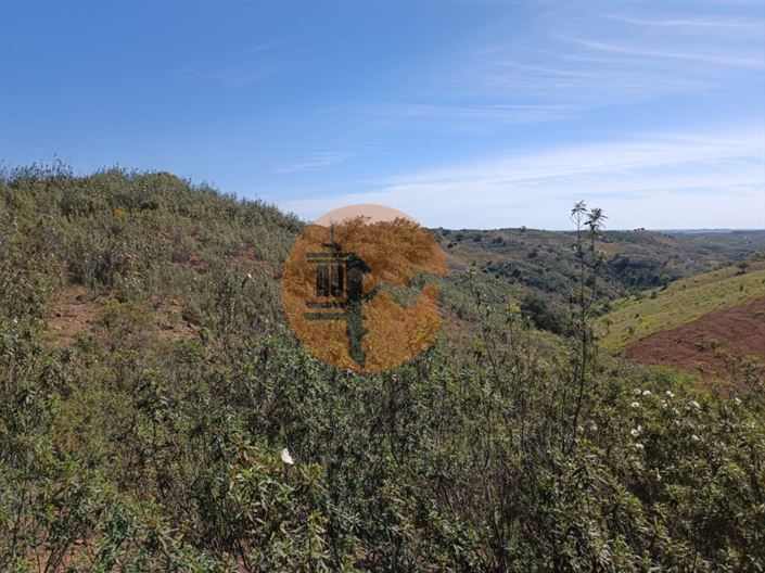 Image No.28-Plot for sale