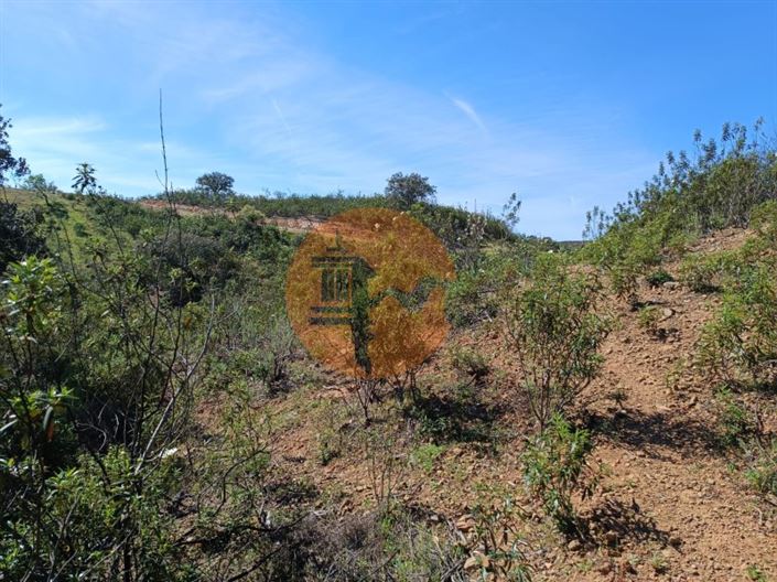 Image No.29-Plot for sale