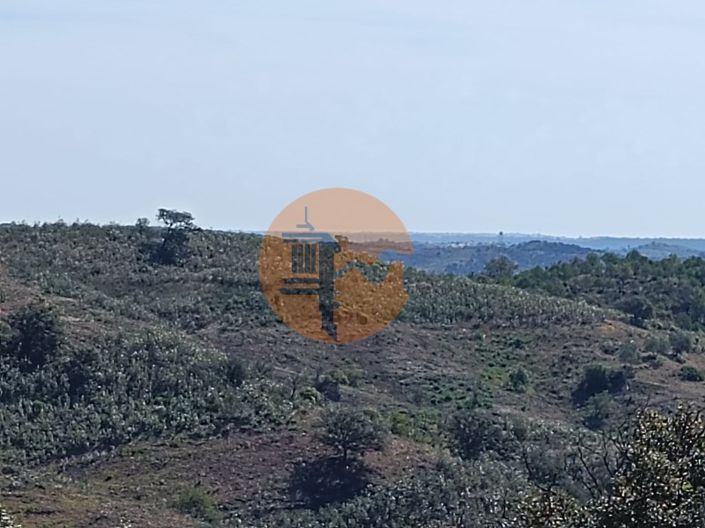 Image No.34-Plot for sale