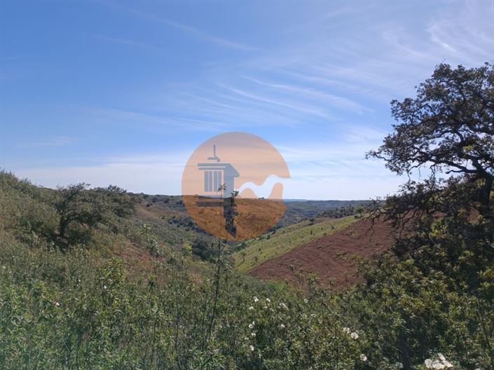 Image No.4-Plot for sale