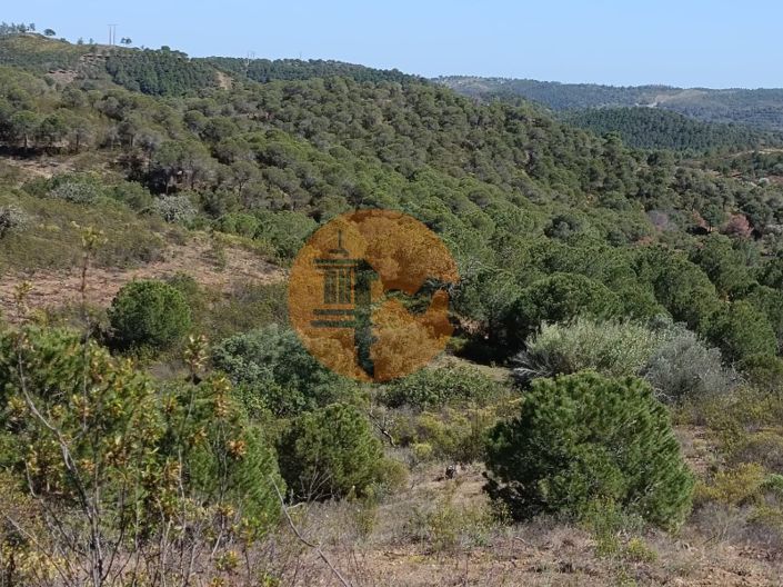 Image No.1-Plot for sale