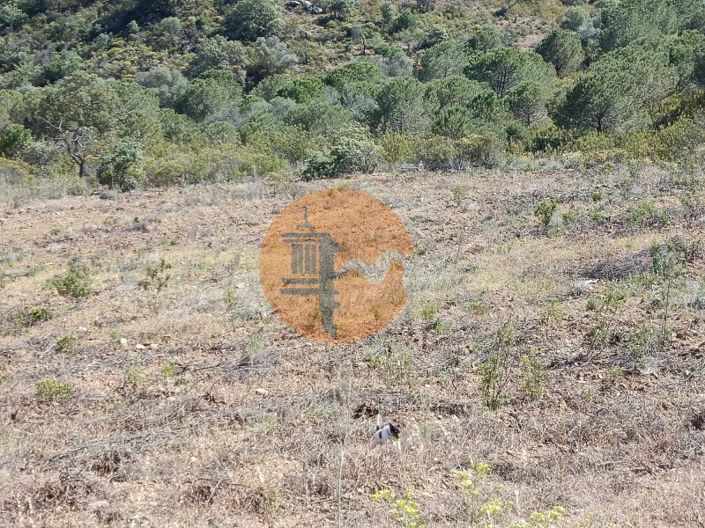 Image No.11-Plot for sale