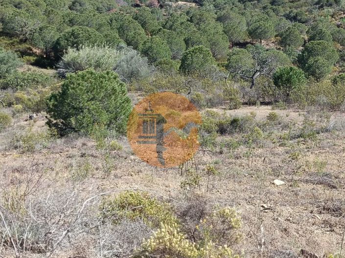 Image No.12-Plot for sale