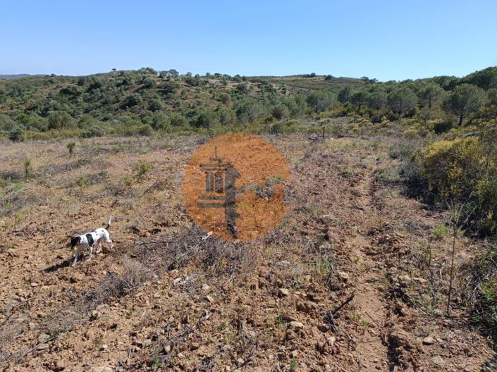 Image No.15-Plot for sale