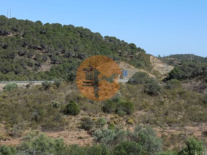 Image No.19-Plot for sale