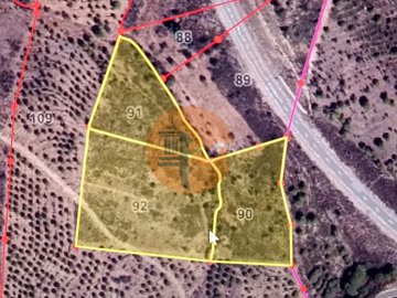 id46376a01-0000-0500-0000-000011366e10