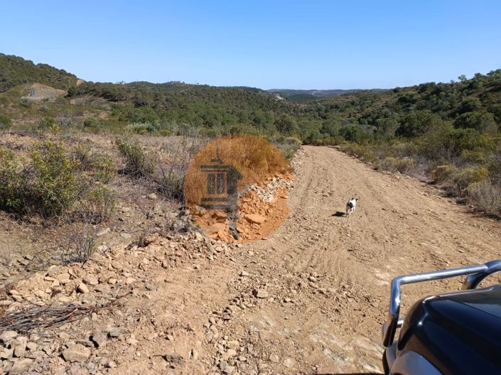 Image No.26-Plot for sale