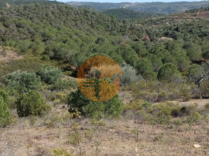 Image No.9-Plot for sale