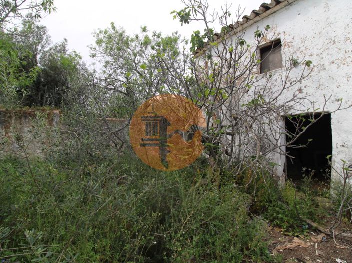 Image No.1-Plot for sale