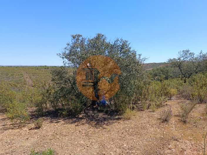 Image No.1-Plot for sale