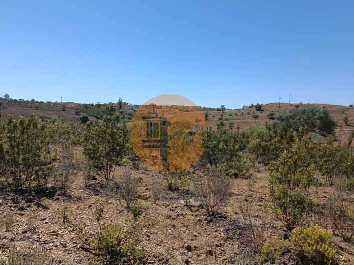 Image No.10-Plot for sale