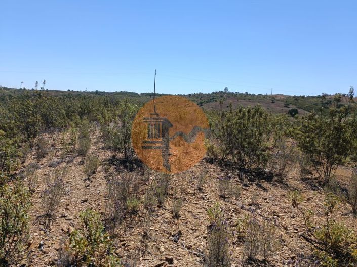 Image No.11-Plot for sale