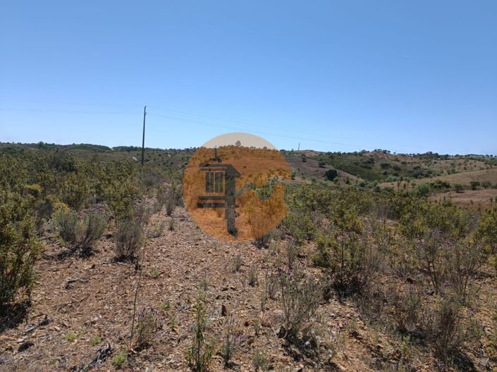 Image No.13-Plot for sale