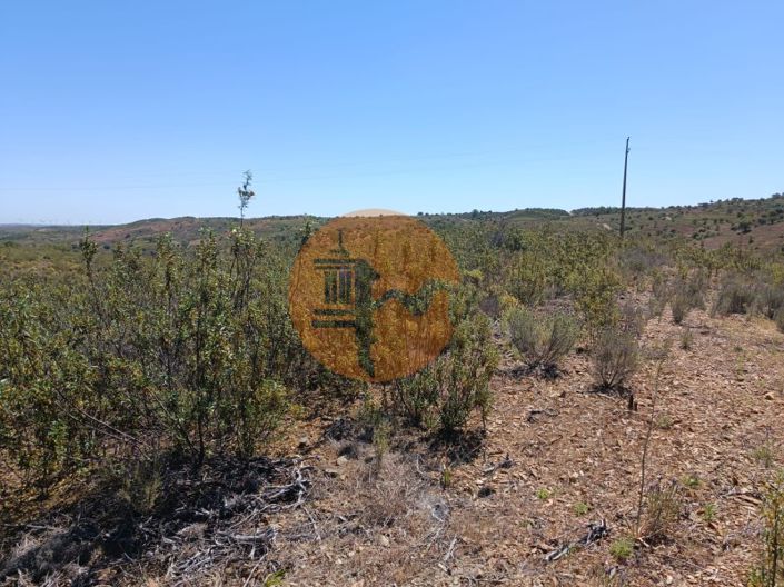 Image No.17-Plot for sale