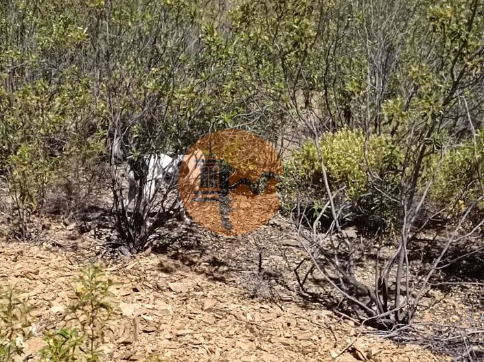 Image No.19-Plot for sale