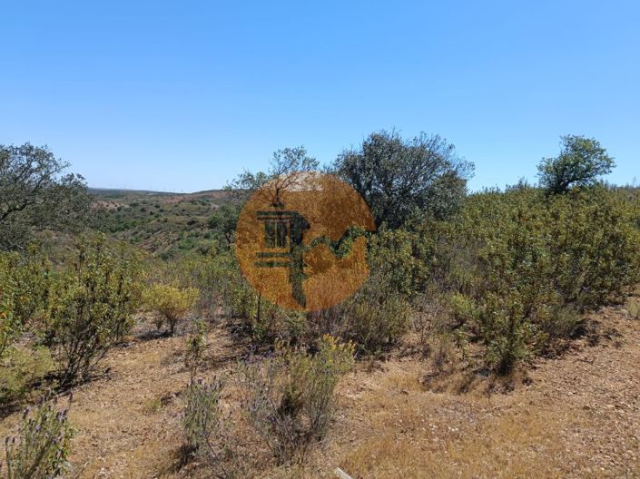 Image No.28-Plot for sale