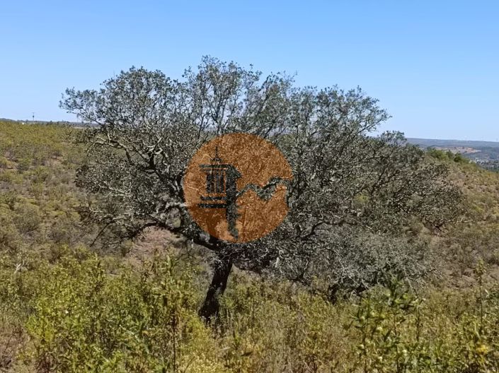 Image No.30-Plot for sale