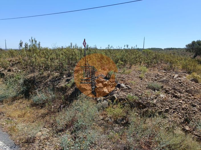 Image No.4-Plot for sale