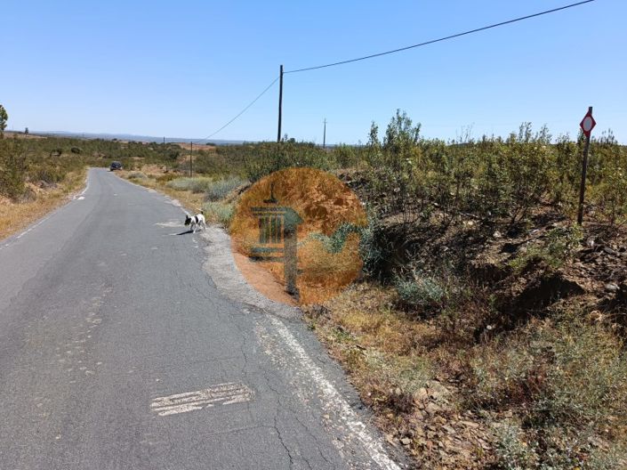 Image No.5-Plot for sale