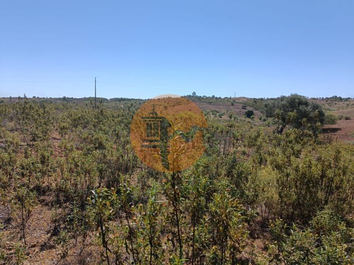 Image No.7-Plot for sale