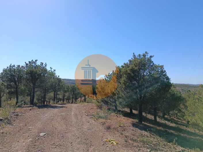 Image No.1-Plot for sale