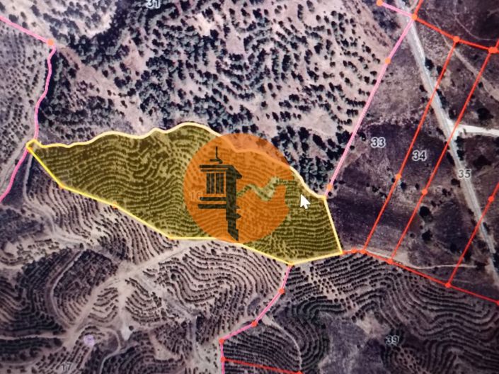 Image No.10-Plot for sale