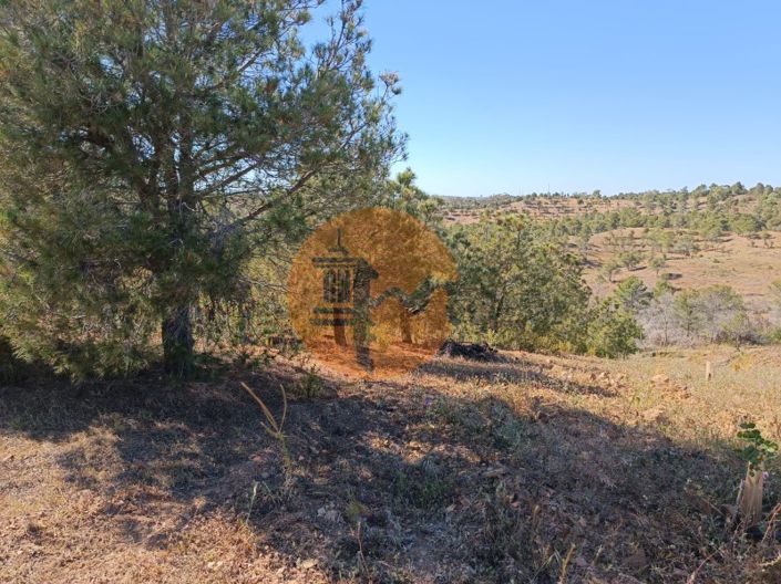 Image No.11-Plot for sale