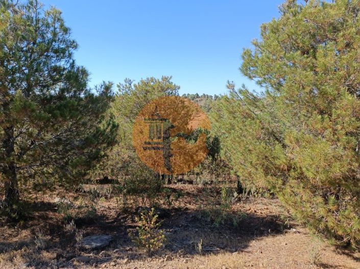 Image No.18-Plot for sale