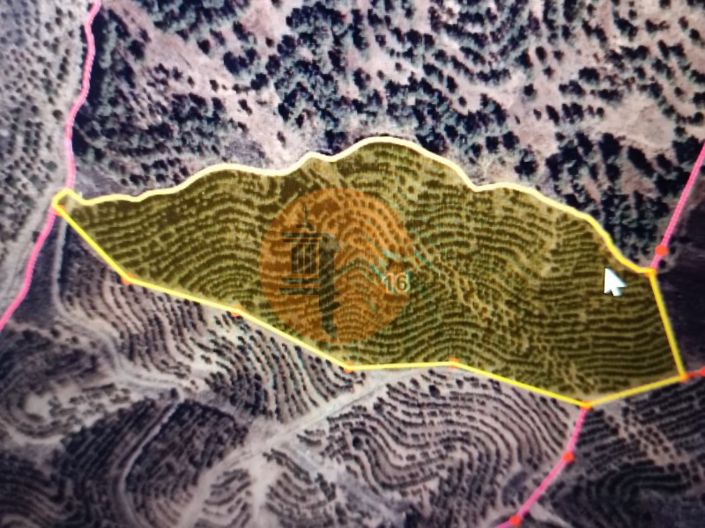 Image No.2-Plot for sale