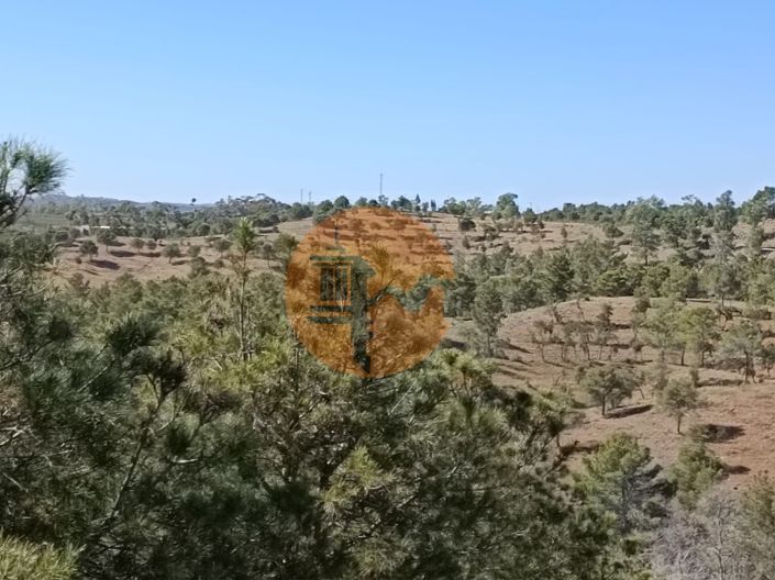 Image No.24-Plot for sale