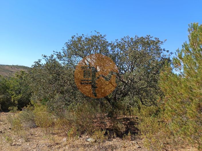 Image No.27-Plot for sale