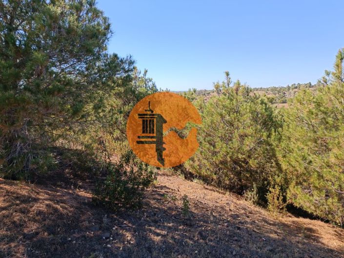 Image No.29-Plot for sale