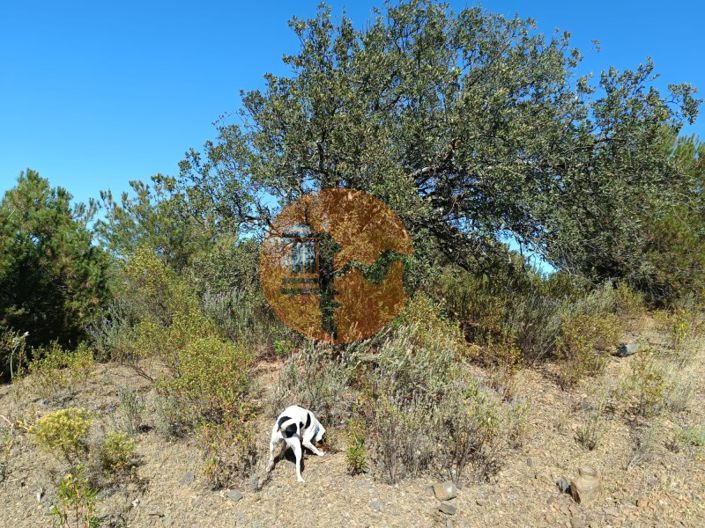 Image No.4-Plot for sale