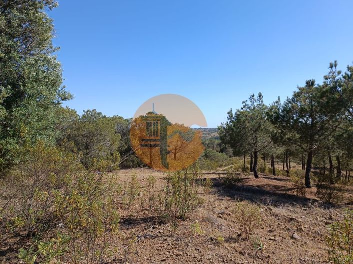 Image No.8-Plot for sale