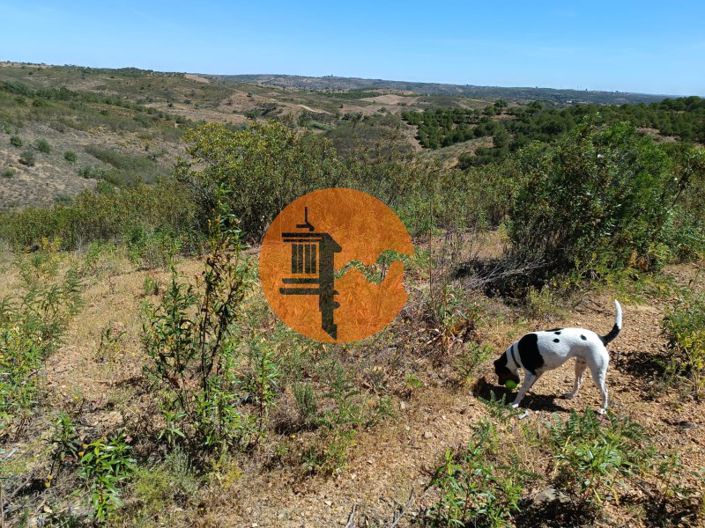 Image No.10-Plot for sale