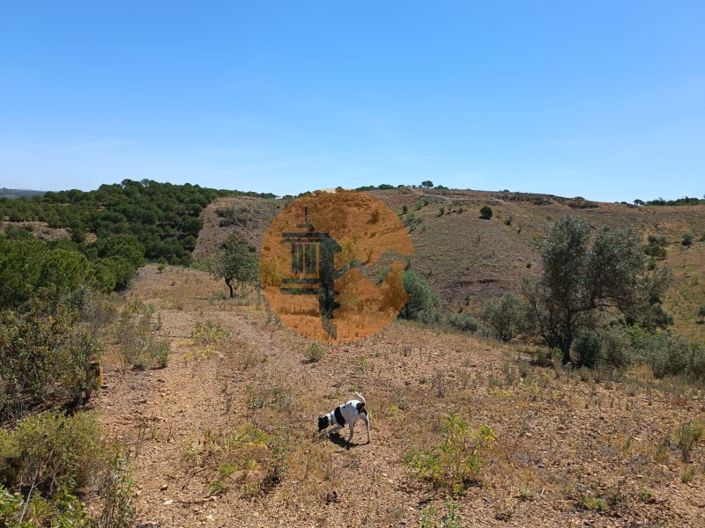 Image No.19-Plot for sale