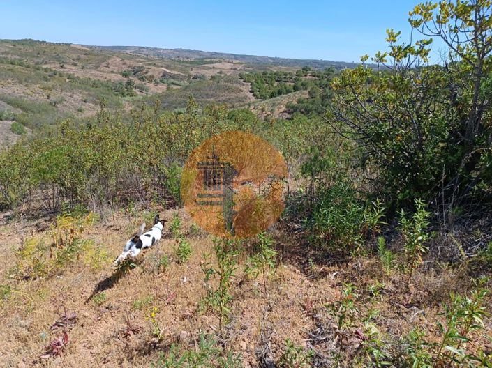 Image No.22-Plot for sale