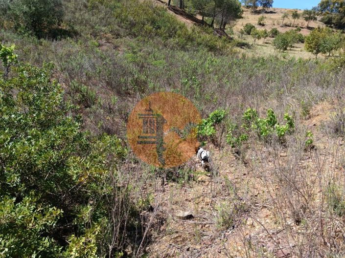 Image No.26-Plot for sale