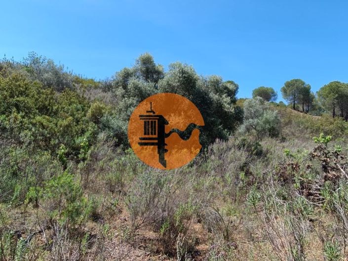 Image No.31-Plot for sale