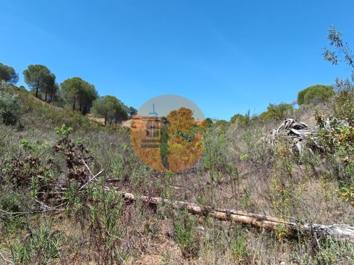 Image No.32-Plot for sale