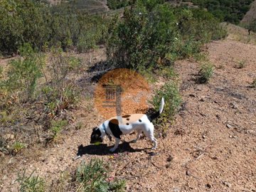 id75c16a01-0000-0500-0000-00001142c597