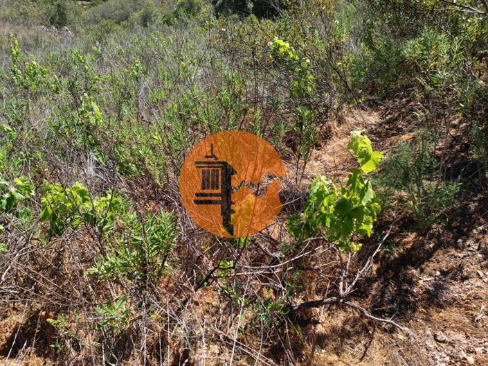 Image No.5-Plot for sale