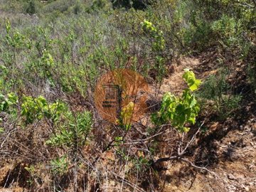 id75c16a01-0000-0500-0000-00001142c598