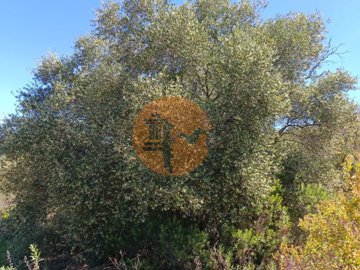 id75c16a01-0000-0500-0000-00001142c599