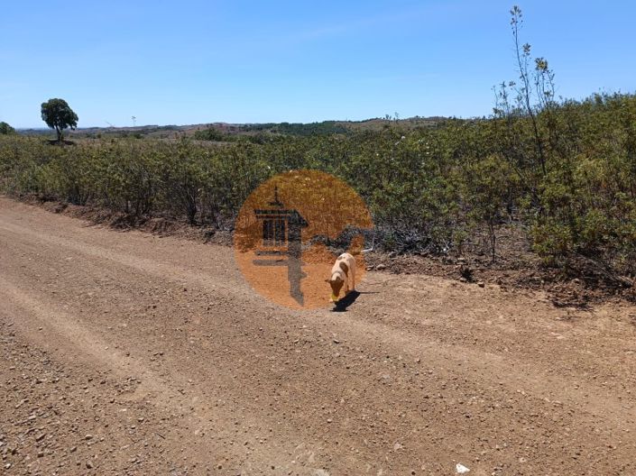 Image No.10-Plot for sale