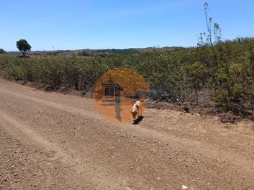 id9bc16a01-0000-0500-0000-00001142c78e