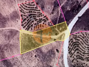 id9bc16a01-0000-0500-0000-00001142c78f