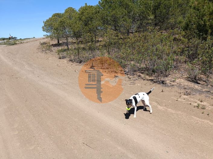 Image No.13-Plot for sale